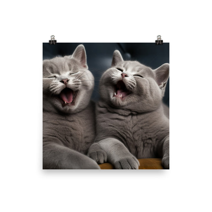 British Shorthair Photo paper poster - PosterfyAI.com