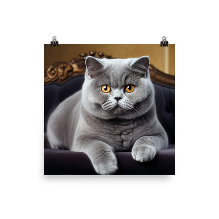 British Shorthair Photo paper poster - PosterfyAI.com