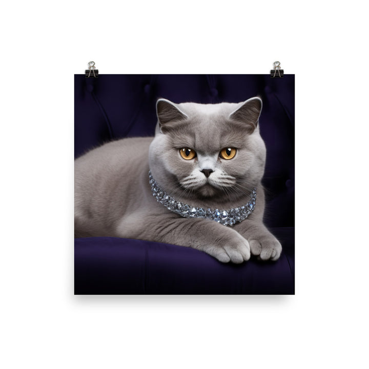 British Shorthair Photo paper poster - PosterfyAI.com