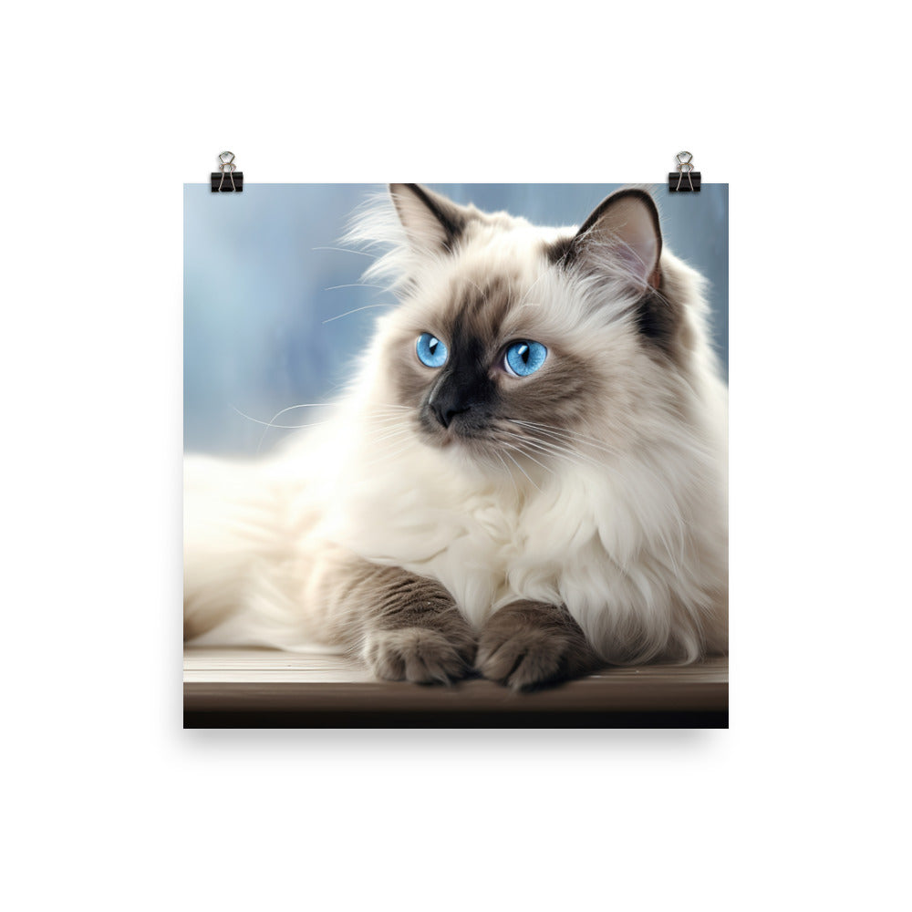 Birman Photo paper poster - PosterfyAI.com