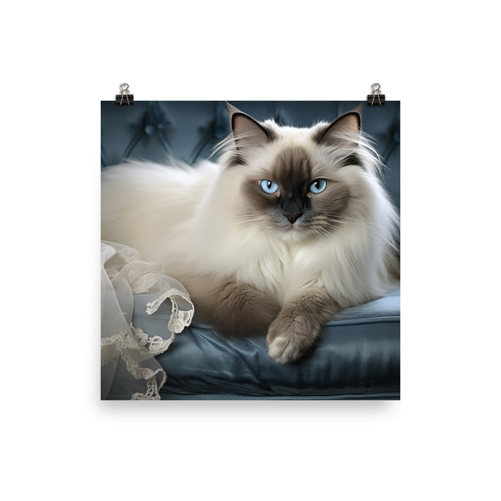 Birman Photo paper poster - PosterfyAI.com