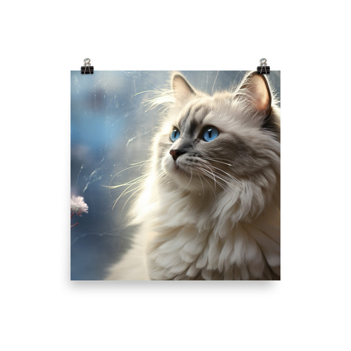 Birman Photo paper poster - PosterfyAI.com