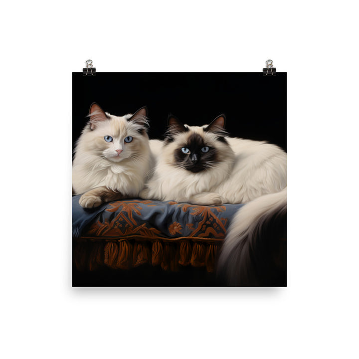 Birman Photo paper poster - PosterfyAI.com