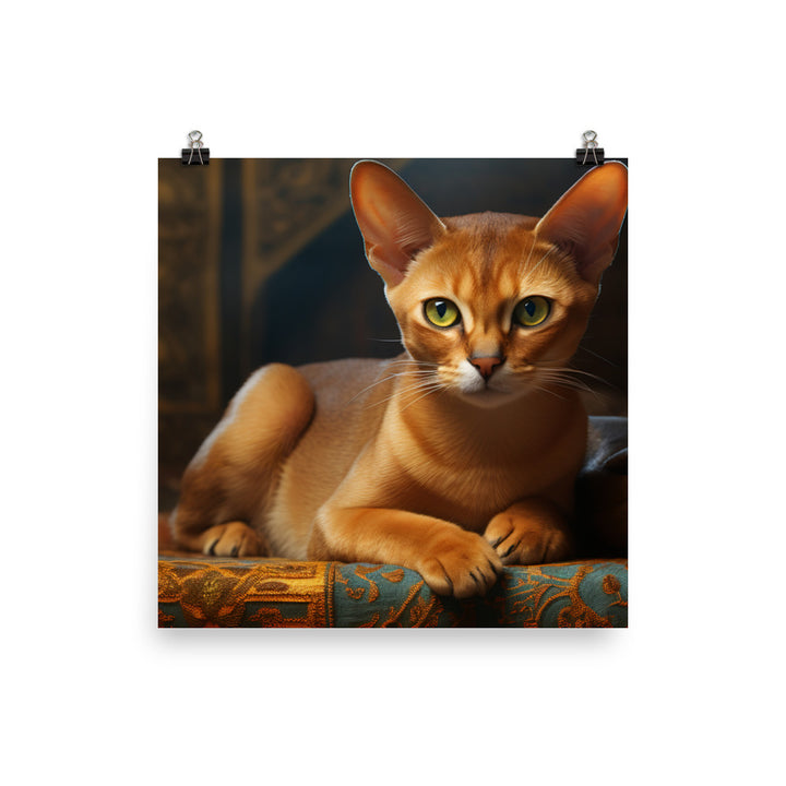 Abyssinian Photo paper poster - PosterfyAI.com