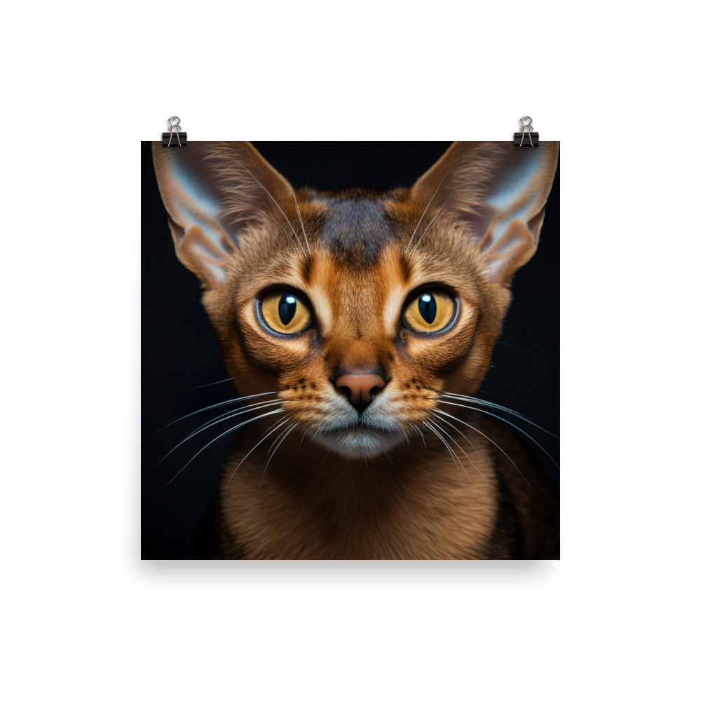 Abyssinian Photo paper poster - PosterfyAI.com