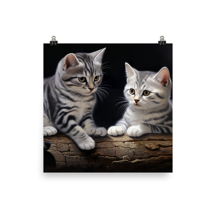 American Shorthair Photo paper poster - PosterfyAI.com