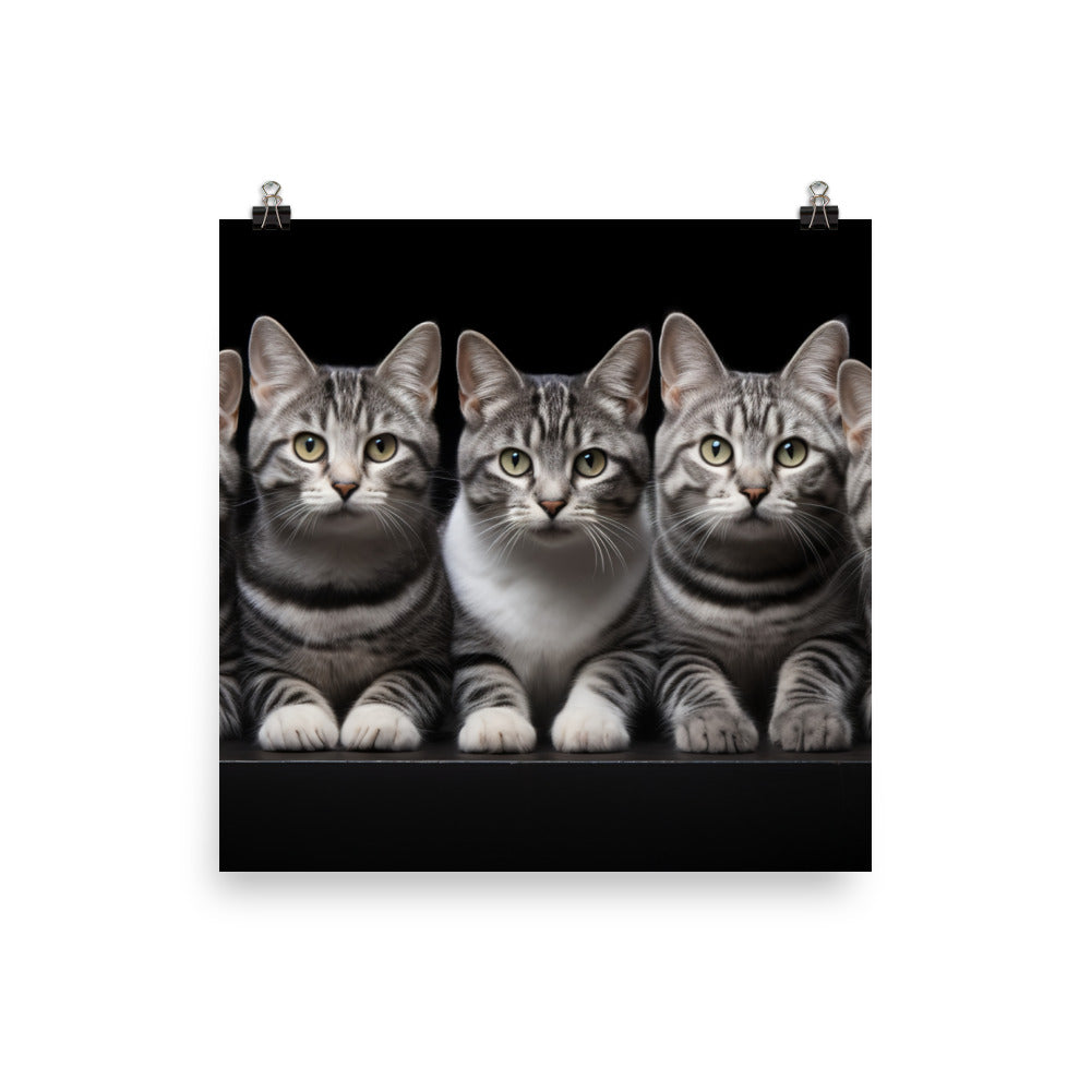 American Shorthair Photo paper poster - PosterfyAI.com