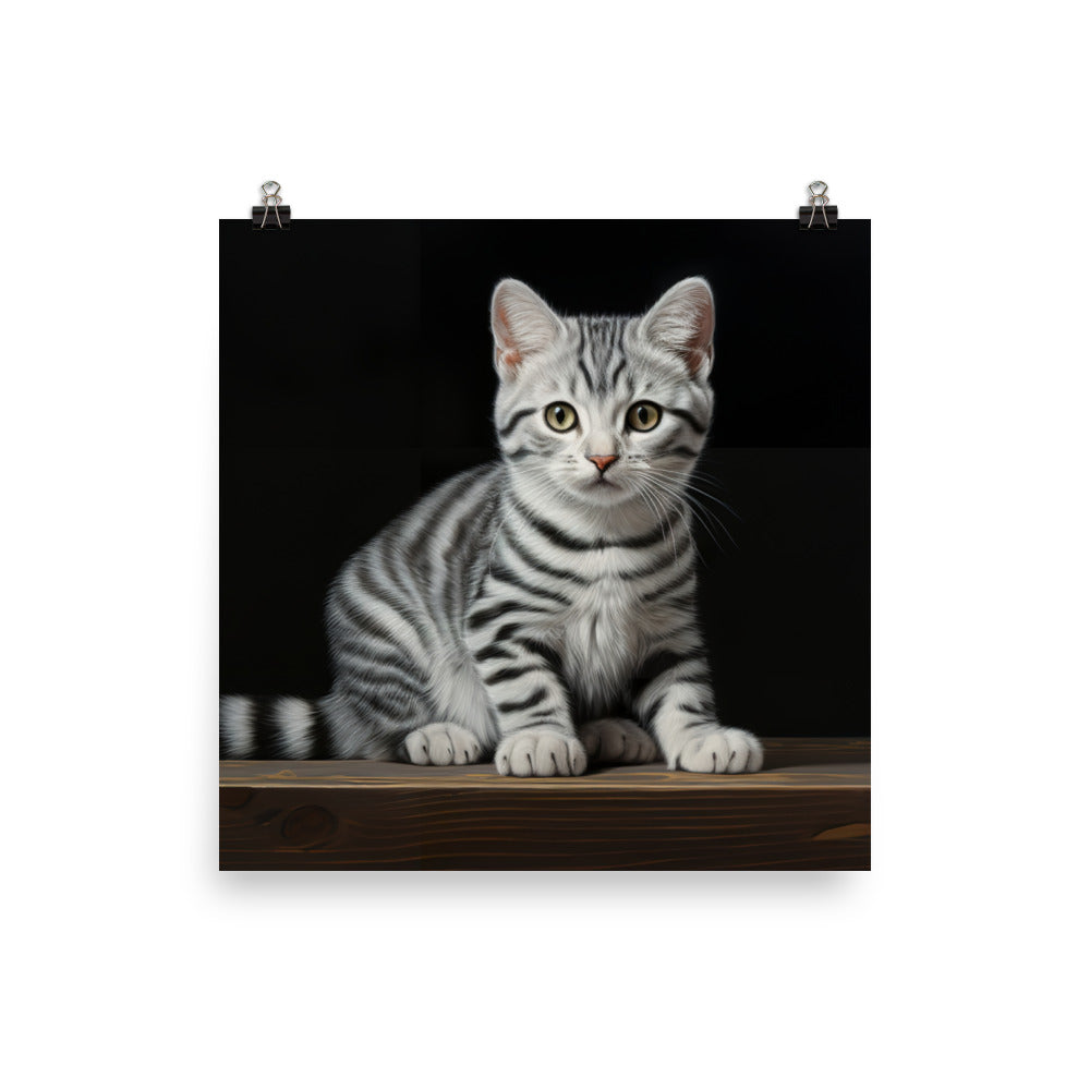 American Shorthair Photo paper poster - PosterfyAI.com