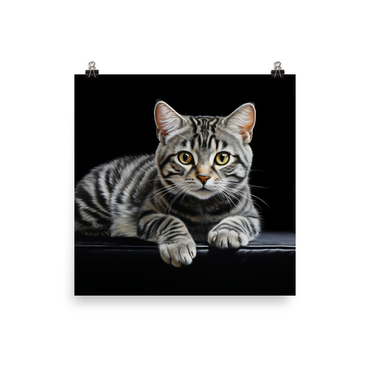 American Shorthair Photo paper poster - PosterfyAI.com