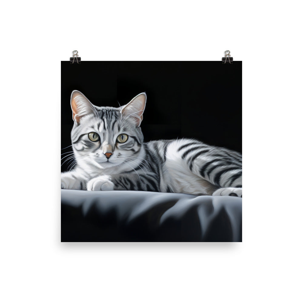 American Shorthair Photo paper poster - PosterfyAI.com