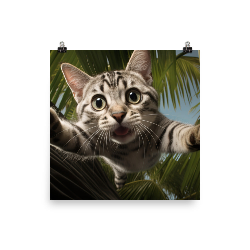 American Shorthair Photo paper poster - PosterfyAI.com