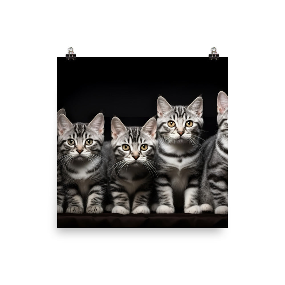 American Shorthair Photo paper poster - PosterfyAI.com