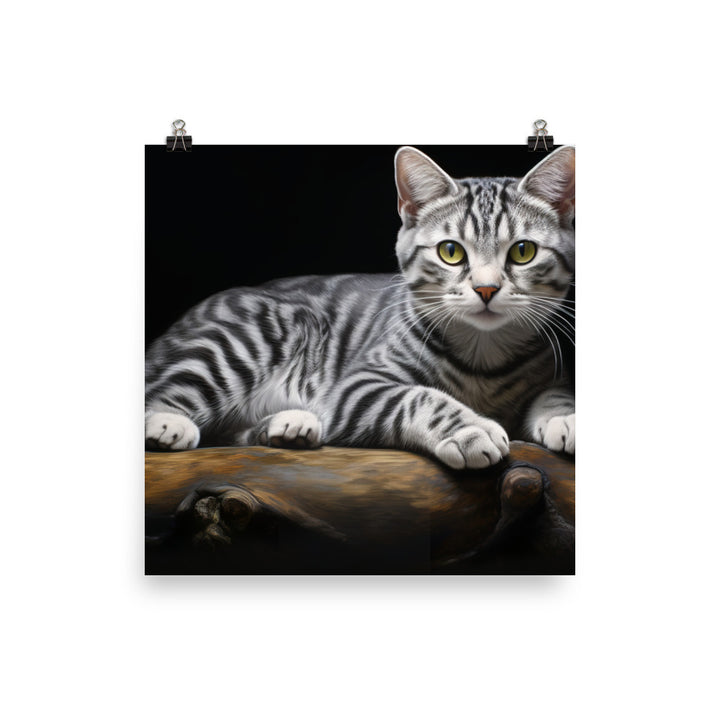 American Shorthair Photo paper poster - PosterfyAI.com