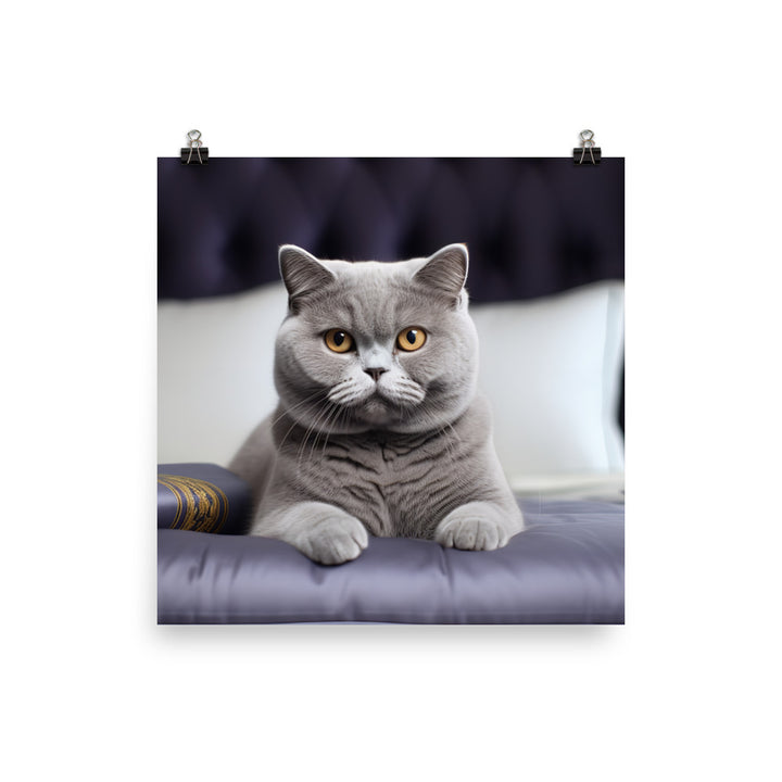 British Shorthair Hotel Staff Photo paper poster - PosterfyAI.com