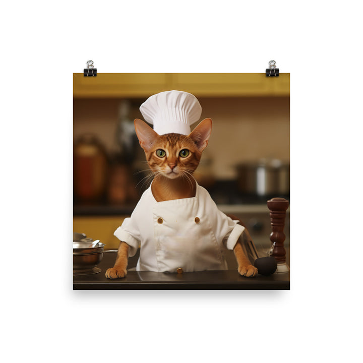 Abyssinian Chef Photo paper poster - PosterfyAI.com