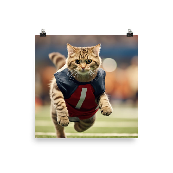 Scottish Fold Football Player Photo paper poster - PosterfyAI.com