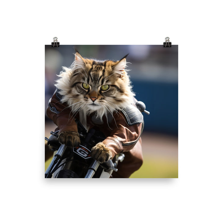 Maine Coon Superbike Athlete Photo paper poster - PosterfyAI.com