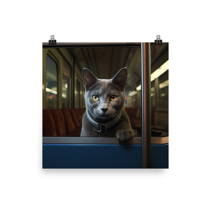 Russian Blue Transit Operator Photo paper poster - PosterfyAI.com