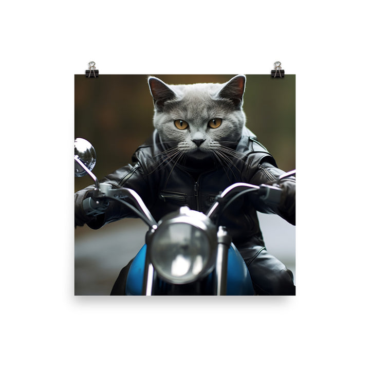 Russian Blue Superbike Athlete Photo paper poster - PosterfyAI.com