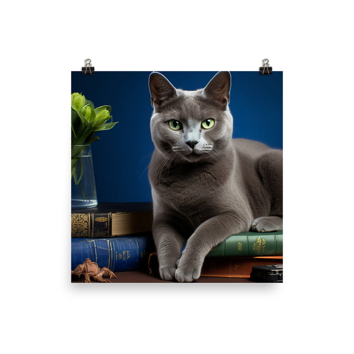 Russian Blue Student Photo paper poster - PosterfyAI.com