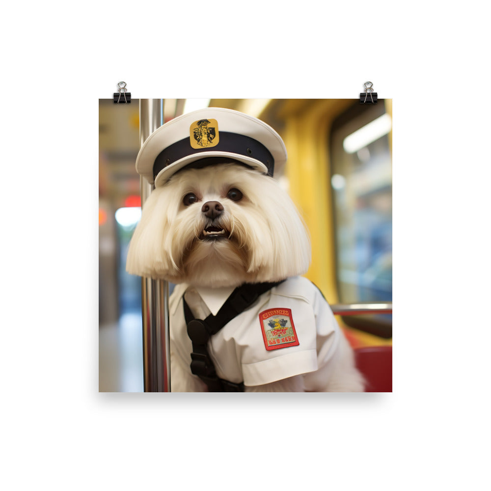 Lhasa Apso Transit Operator Photo paper poster - PosterfyAI.com