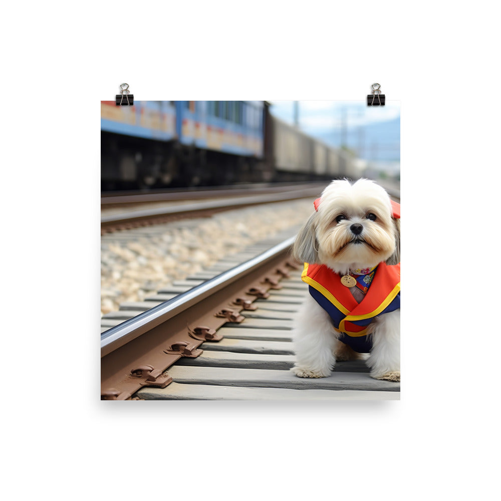 Lhasa Apso Transit Operator Photo paper poster - PosterfyAI.com