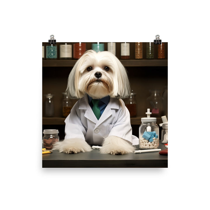 Lhasa Apso Pharmacist Photo paper poster - PosterfyAI.com