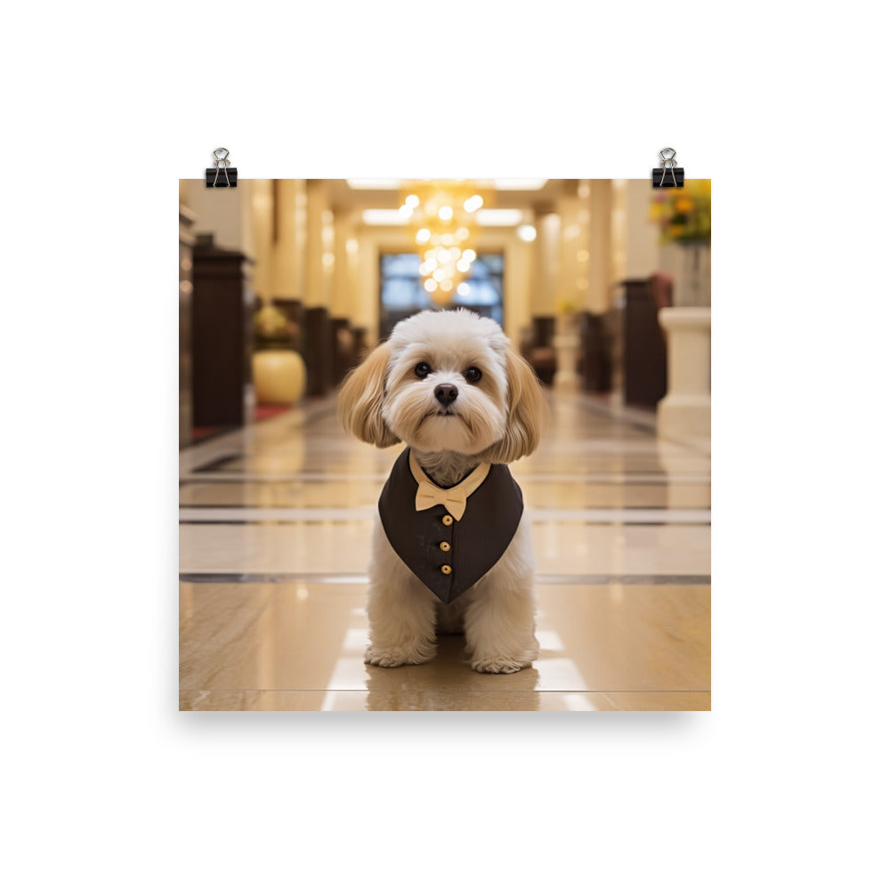 Lhasa Apso Hotel Staff Photo paper poster - PosterfyAI.com