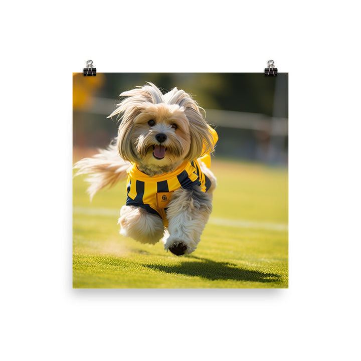 Lhasa Apso Football Player Photo paper poster - PosterfyAI.com