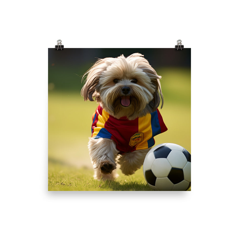 Lhasa Apso Football Player Photo paper poster - PosterfyAI.com