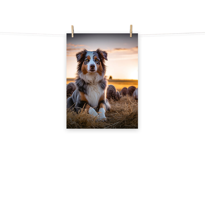 Australian Shepherd Photo paper poster - PosterfyAI.com