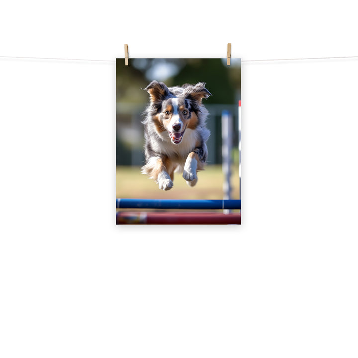 Australian Shepherd Photo paper poster - PosterfyAI.com