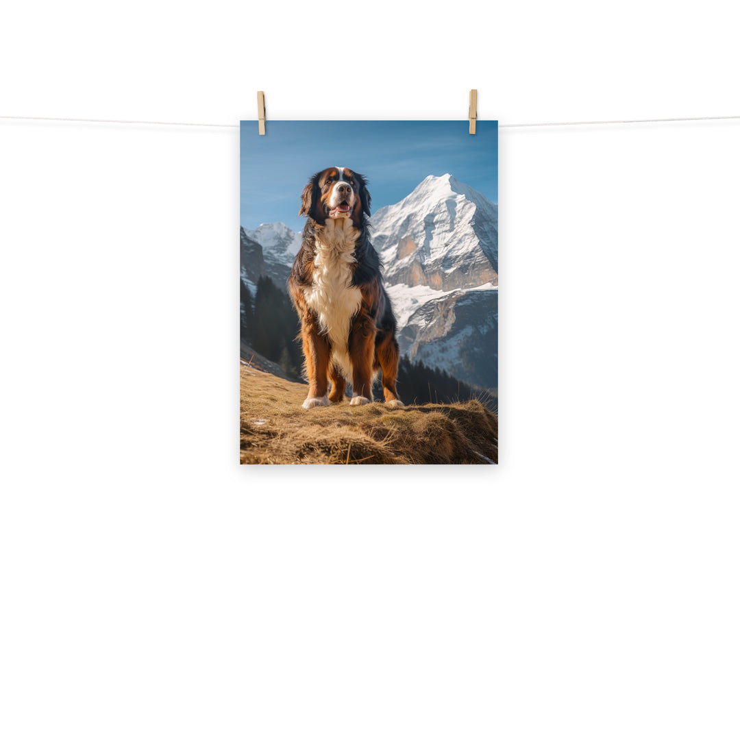 Bernese Mountain Dog Photo paper poster - PosterfyAI.com