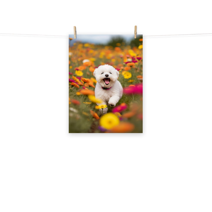 Bichon Frise Photo paper poster - PosterfyAI.com