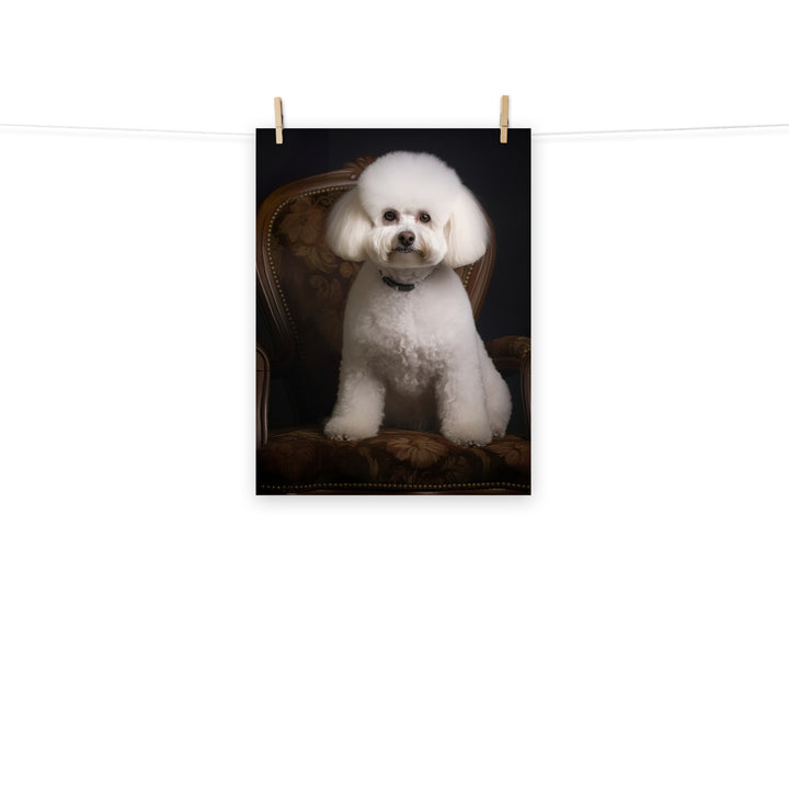 Bichon Frise Photo paper poster - PosterfyAI.com