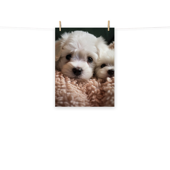 Bichon Frise Photo paper poster - PosterfyAI.com