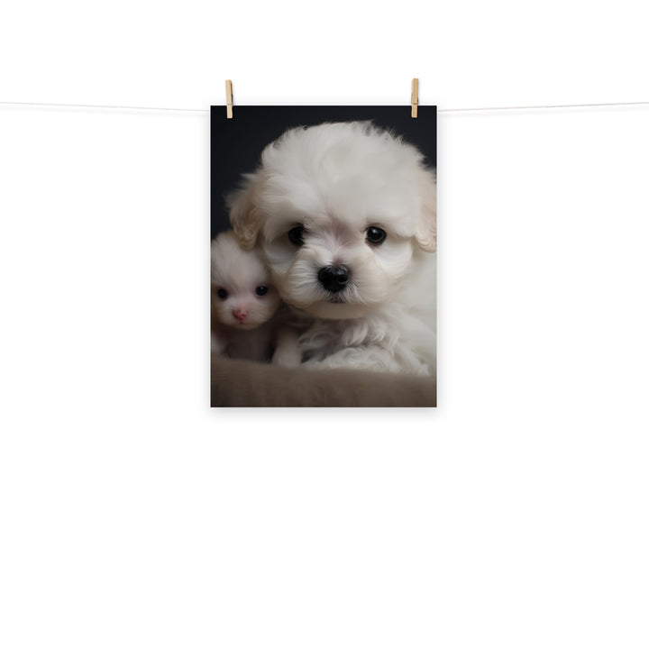 Bichon Frise Photo paper poster - PosterfyAI.com