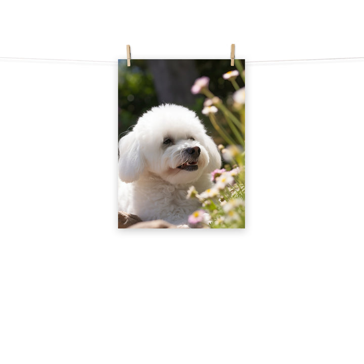 Bichon Frise Photo paper poster - PosterfyAI.com