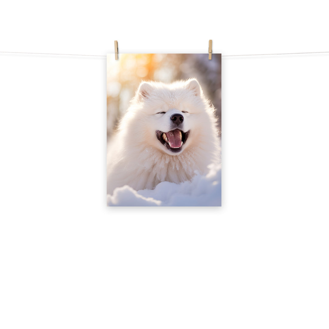 Samoyed Photo paper poster - PosterfyAI.com