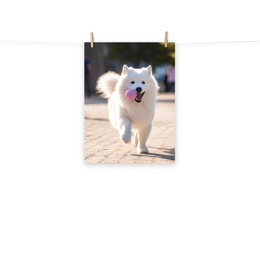 Samoyed Photo paper poster - PosterfyAI.com