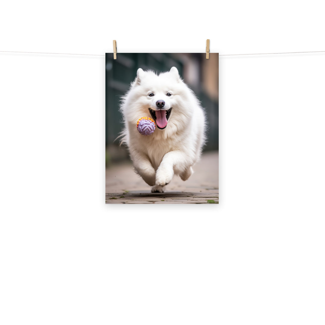 Samoyed Photo paper poster - PosterfyAI.com