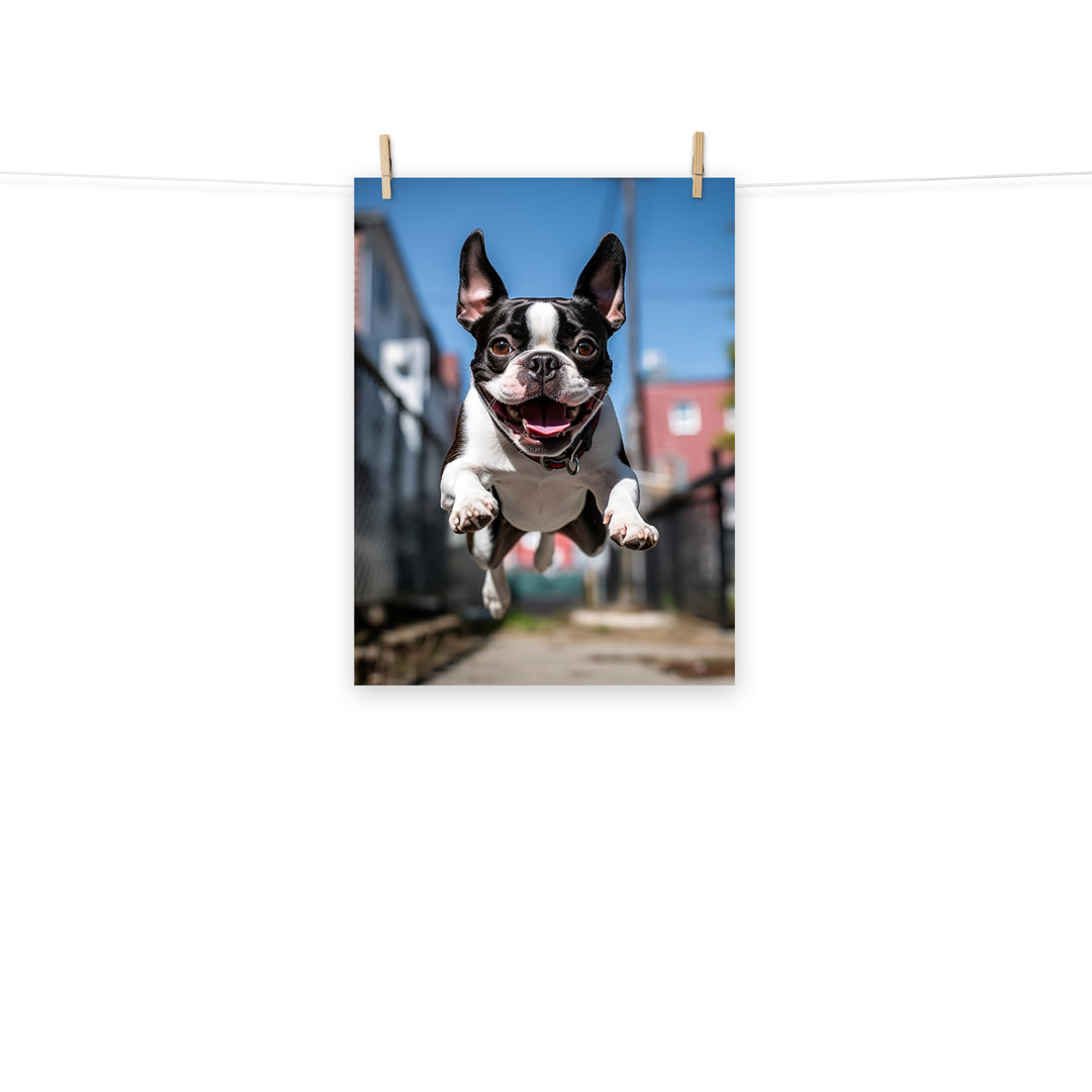 Boston Terrier Photo paper poster - PosterfyAI.com