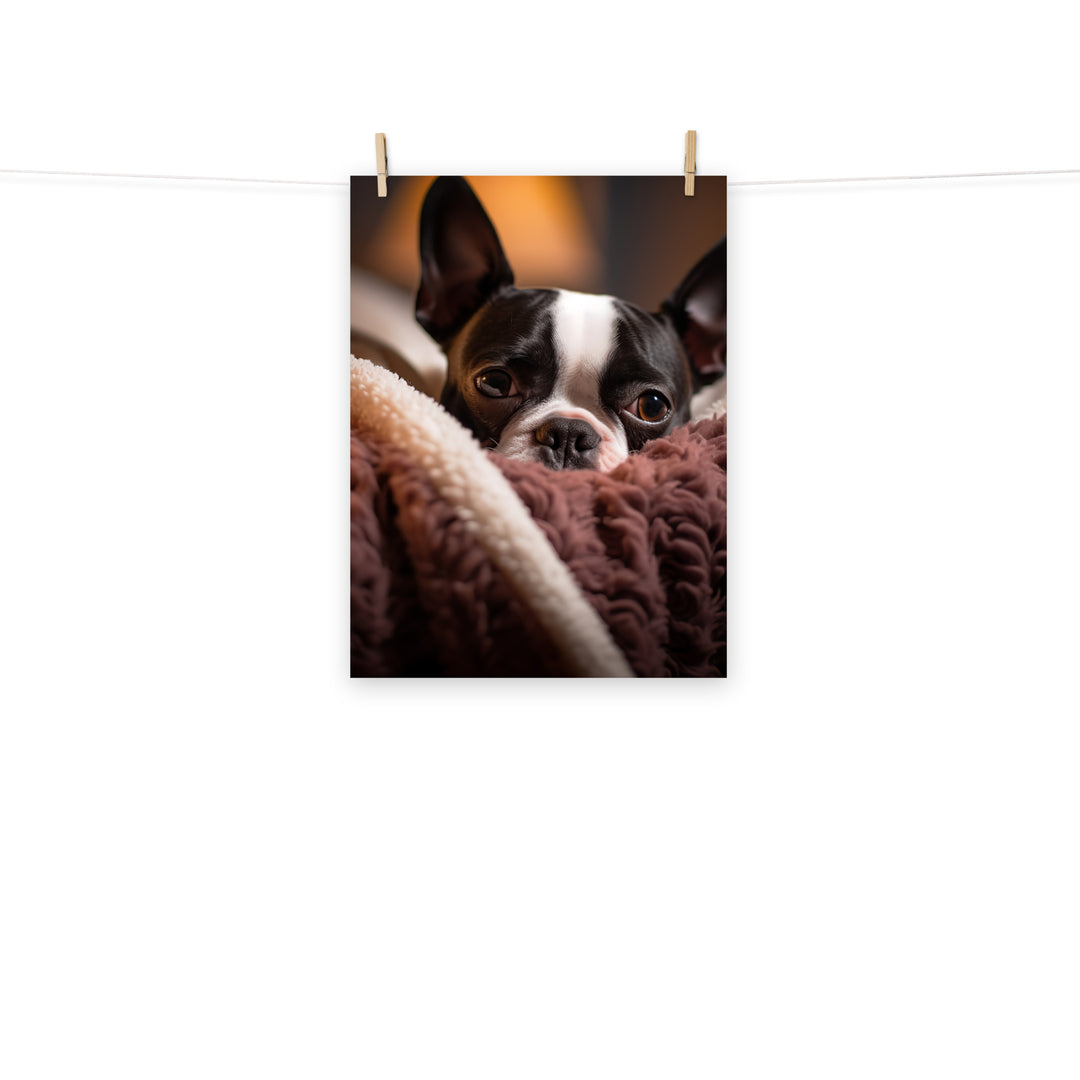 Boston Terrier Photo paper poster - PosterfyAI.com