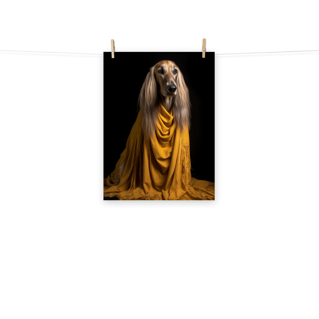 Afghan Hound Photo paper poster - PosterfyAI.com