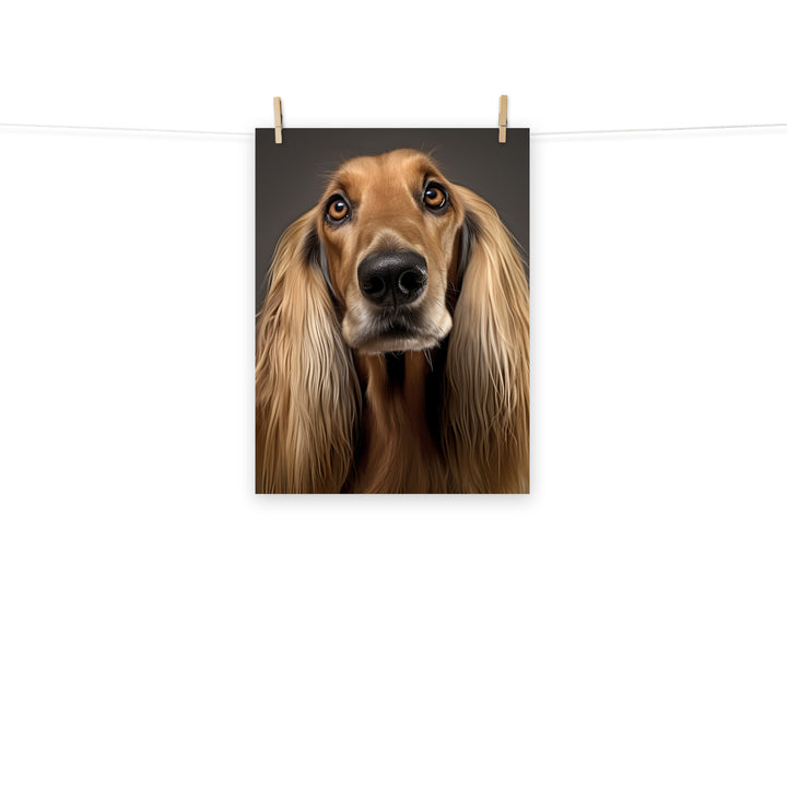 Afghan Hound Photo paper poster - PosterfyAI.com