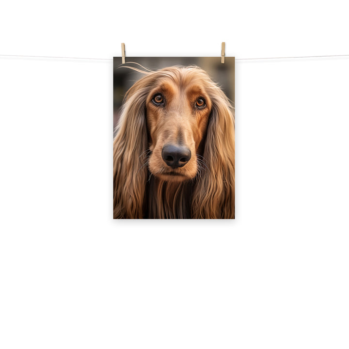 Afghan Hound Photo paper poster - PosterfyAI.com