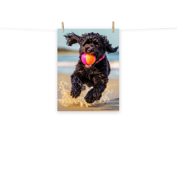 Portuguese Water Dog Photo paper poster - PosterfyAI.com