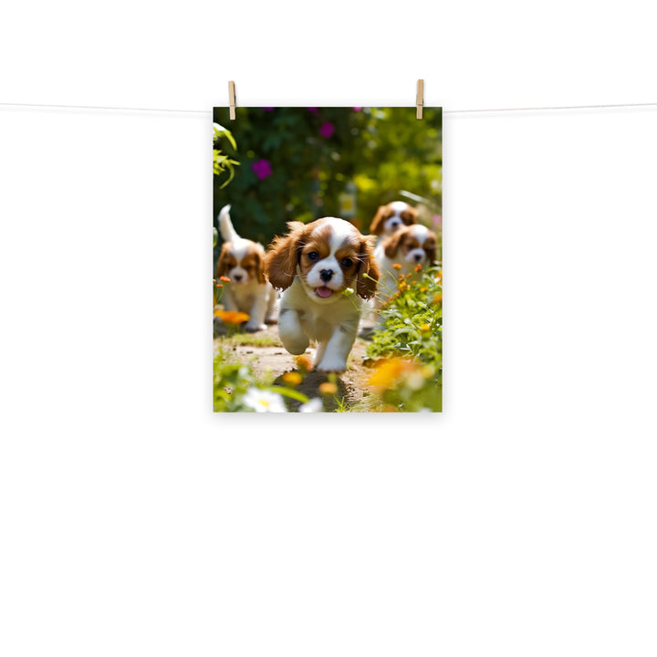 Cavalier King Charles Photo paper poster - PosterfyAI.com