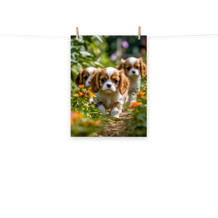 Cavalier King Charles Photo paper poster - PosterfyAI.com