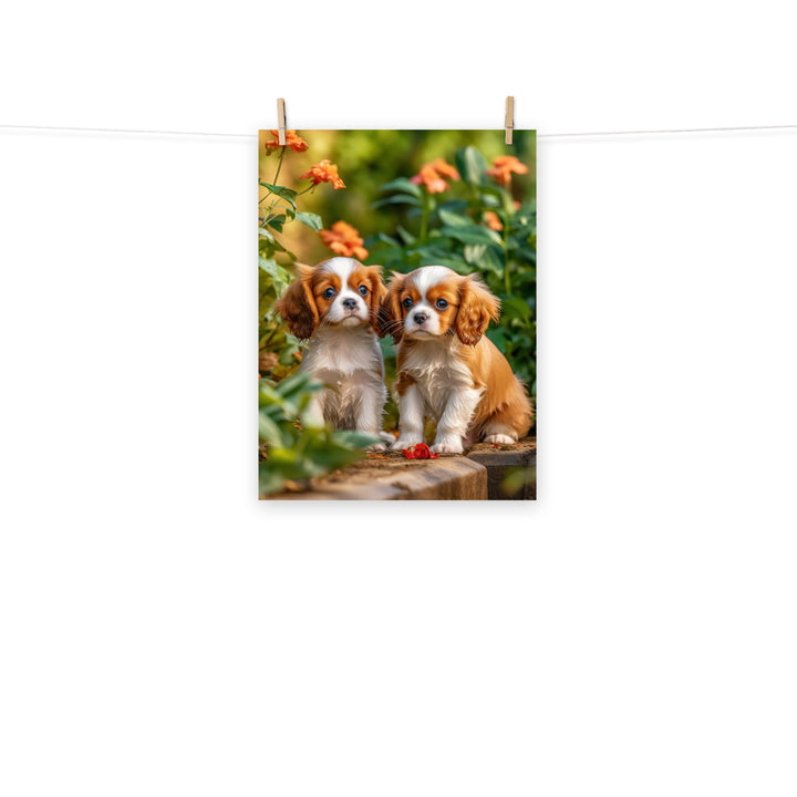 Cavalier King Charles Photo paper poster - PosterfyAI.com